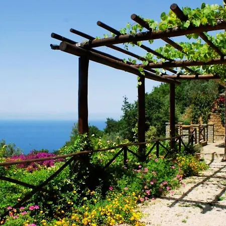 Bellezza In Cilento Panoramic Apts