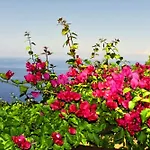 Lejlighed Bellezza In Cilento Panoramic Apts Castellabate
