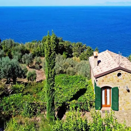 Bellezza In Cilento Panoramic Apts Castellabate