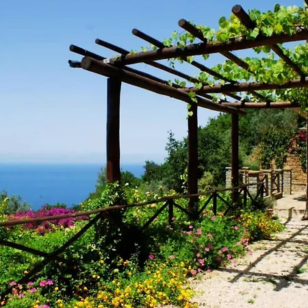Bellezza In Cilento Panoramic Apts