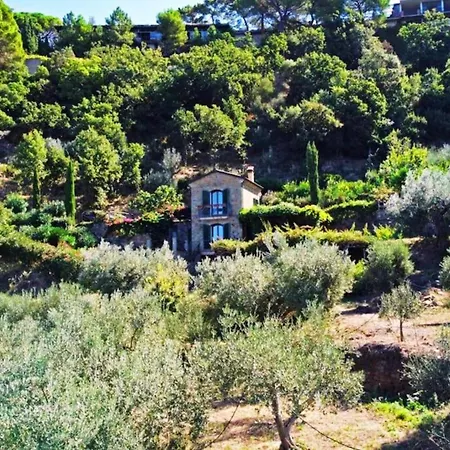 Bellezza In Cilento Panoramic Apts * 카스텔라바테