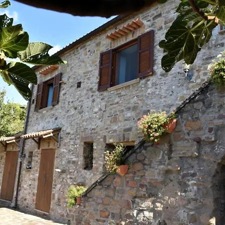 Bellezza In Cilento Panoramic Apts Apartment *