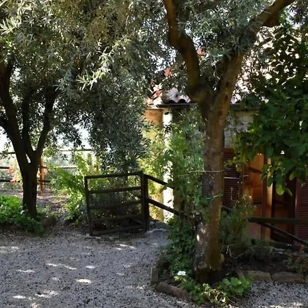 Bellezza In Cilento Panoramic Apts 아파트 카스텔라바테