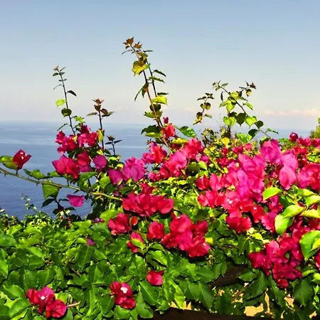 Daire Bellezza In Cilento Panoramic Apts Castellabate