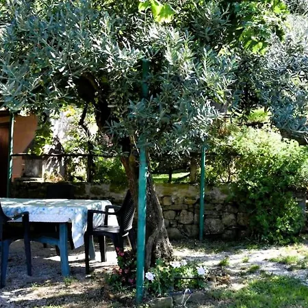 Bellezza In Cilento Panoramic Apts Appartamento *