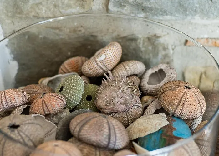 Bellezza In Cilento Panoramic Apts Apartament